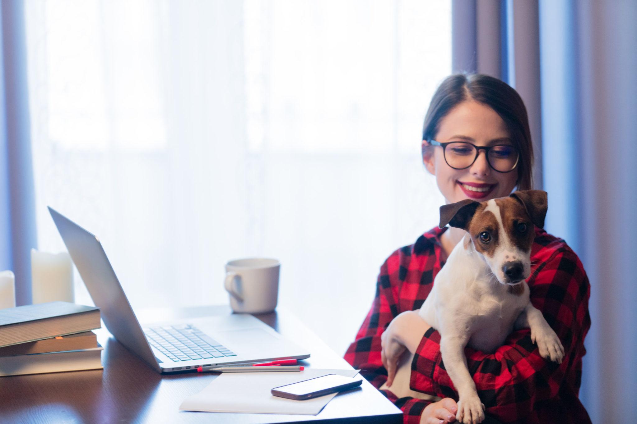 Working From Home? Why Dog Daycare Is Important | Greenlin Pet Resorts