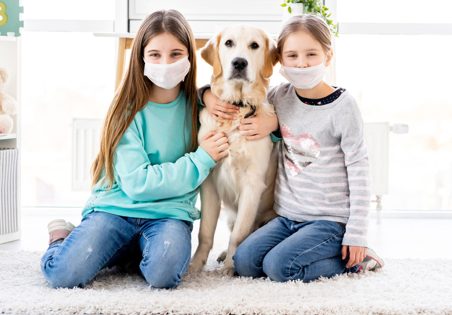 get-dogs-comfortable-with-people-wearing-masks-greenlin-pet-resorts