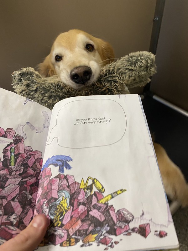 A golden retriever peeks over a stuffed toy while looking at a children's book with colorful illustrations and a speech bubble that reads 'Do you know that you are very strong?'."